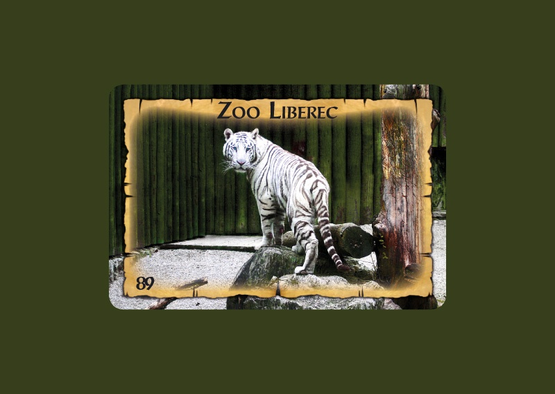 Magnetka MI Liberec Zoo bílý tygr  L-LIM 089